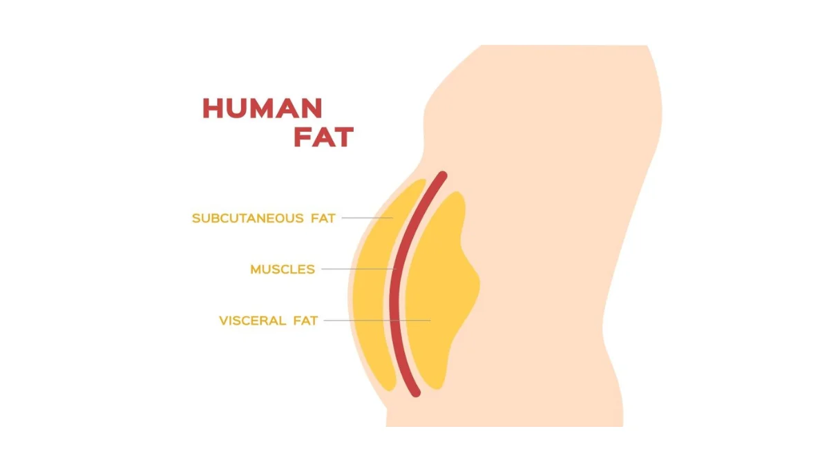 Low-Fat-Snacks-Delicious-Healthy-Options-for-Every-Craving-BY-GEI-MAGAZINE-